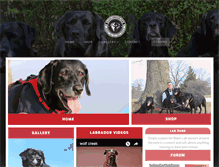 Tablet Screenshot of blacklabrador.com
